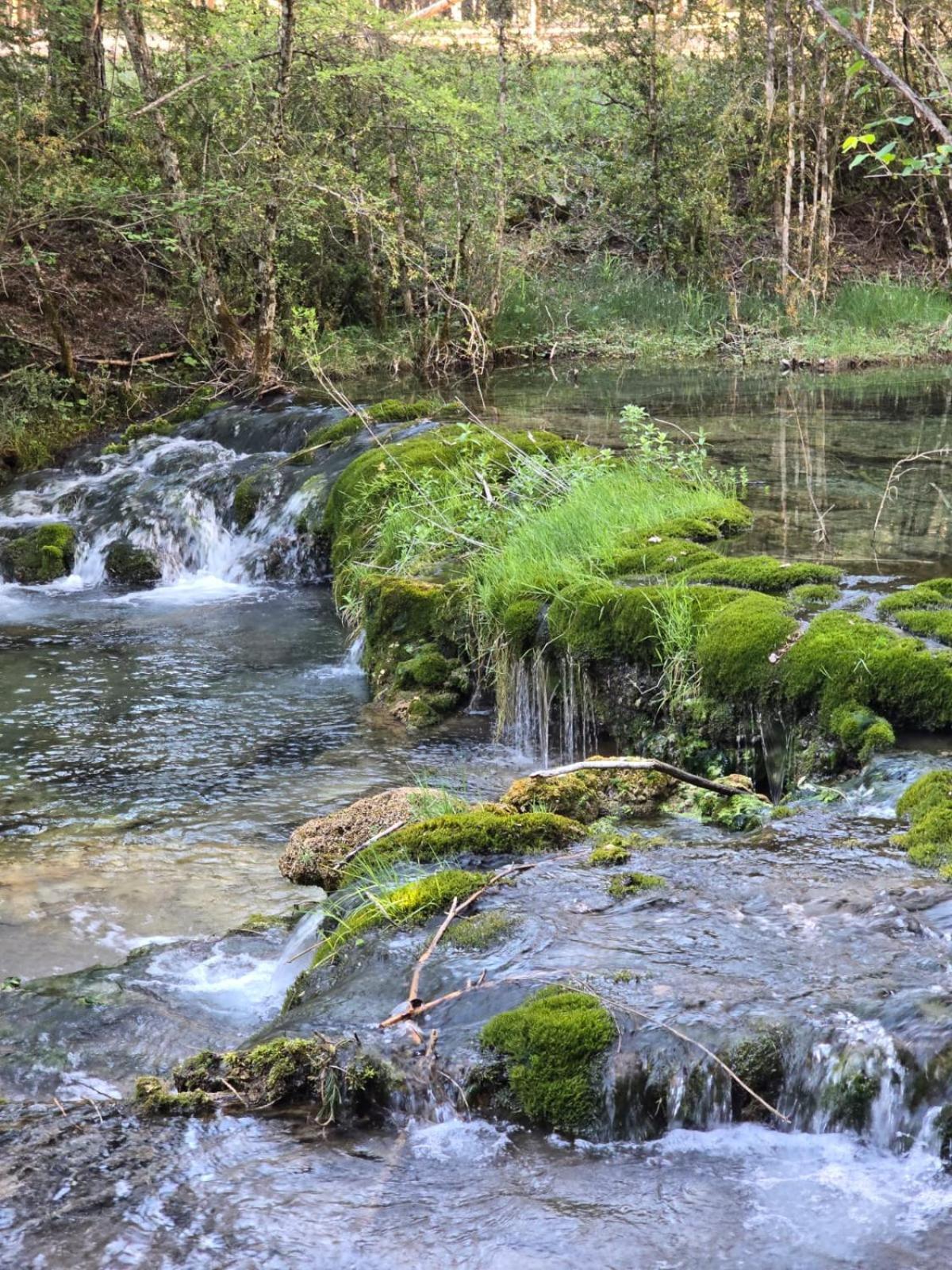 Hostal Rural Alto Tajo Poveda Poveda de la Sierra Εξωτερικό φωτογραφία